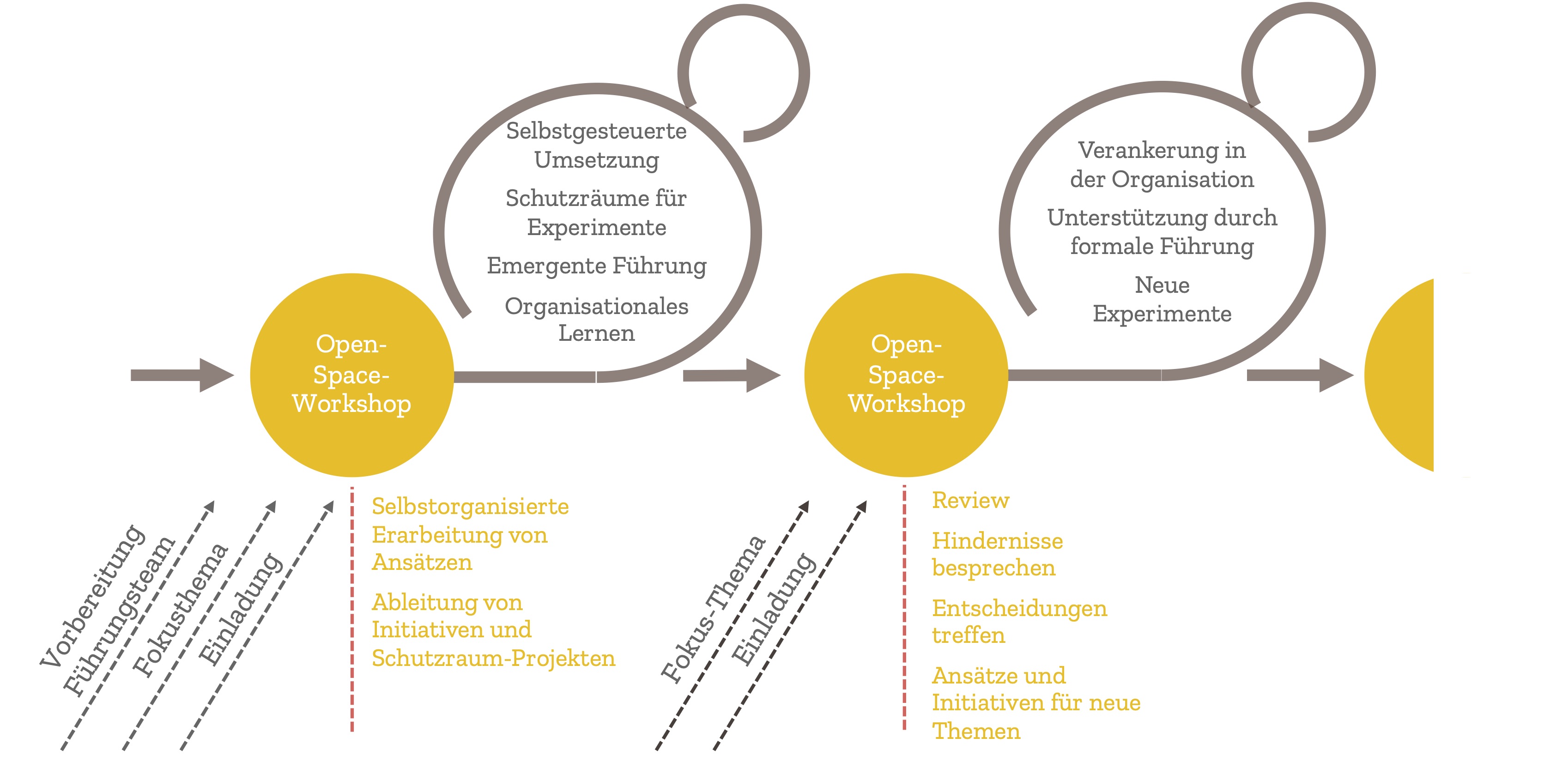 Transformation Gemeinsame Organisationsentwicklung